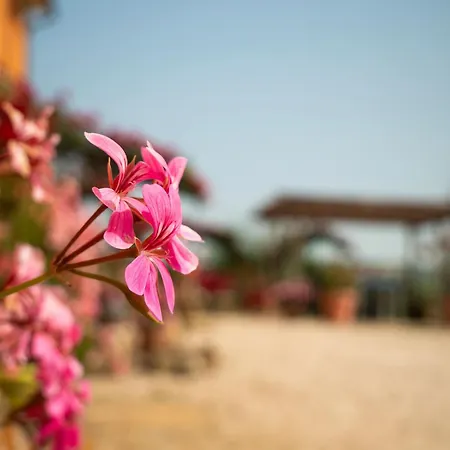 Casa rural Aesis La Dolce Collina *