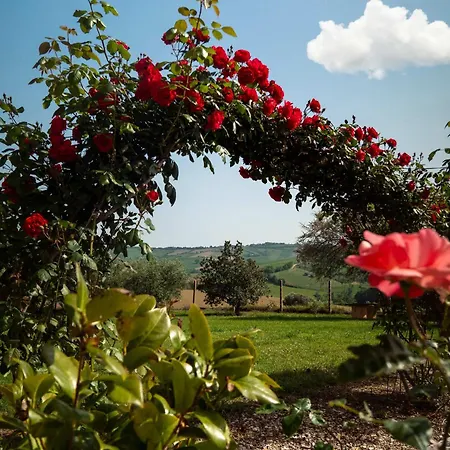 Aesis La Dolce Collina Lantställe