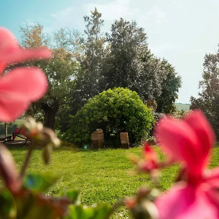 Aesis La Dolce Collina Iesi