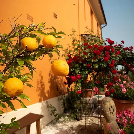 Aesis La Dolce Collina